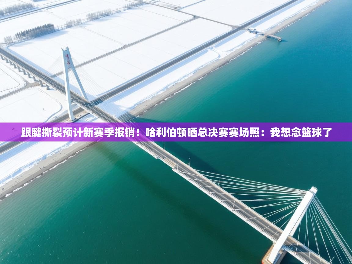 海星体育官方下载-跟腱撕裂预计新赛季报销！哈利伯顿晒总决赛赛场照：我想念篮球了  第1张