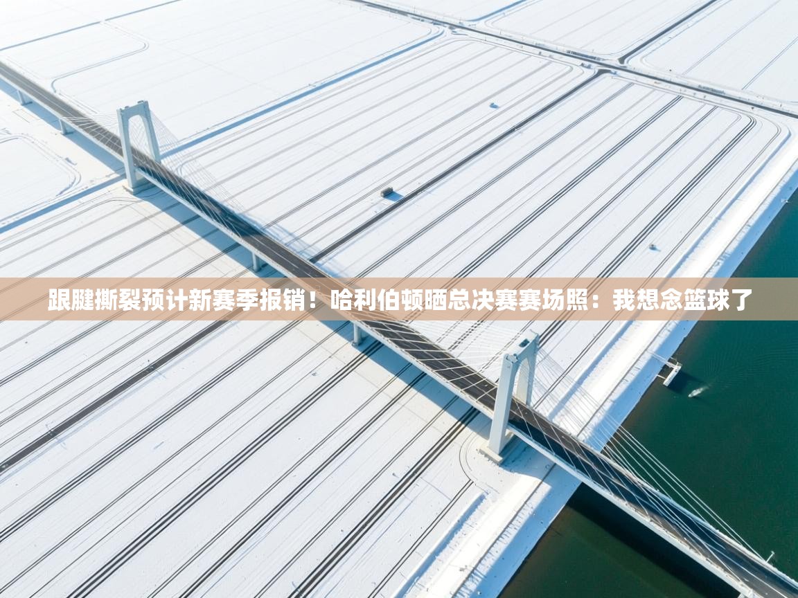 海星体育官方下载-跟腱撕裂预计新赛季报销！哈利伯顿晒总决赛赛场照：我想念篮球了  第3张