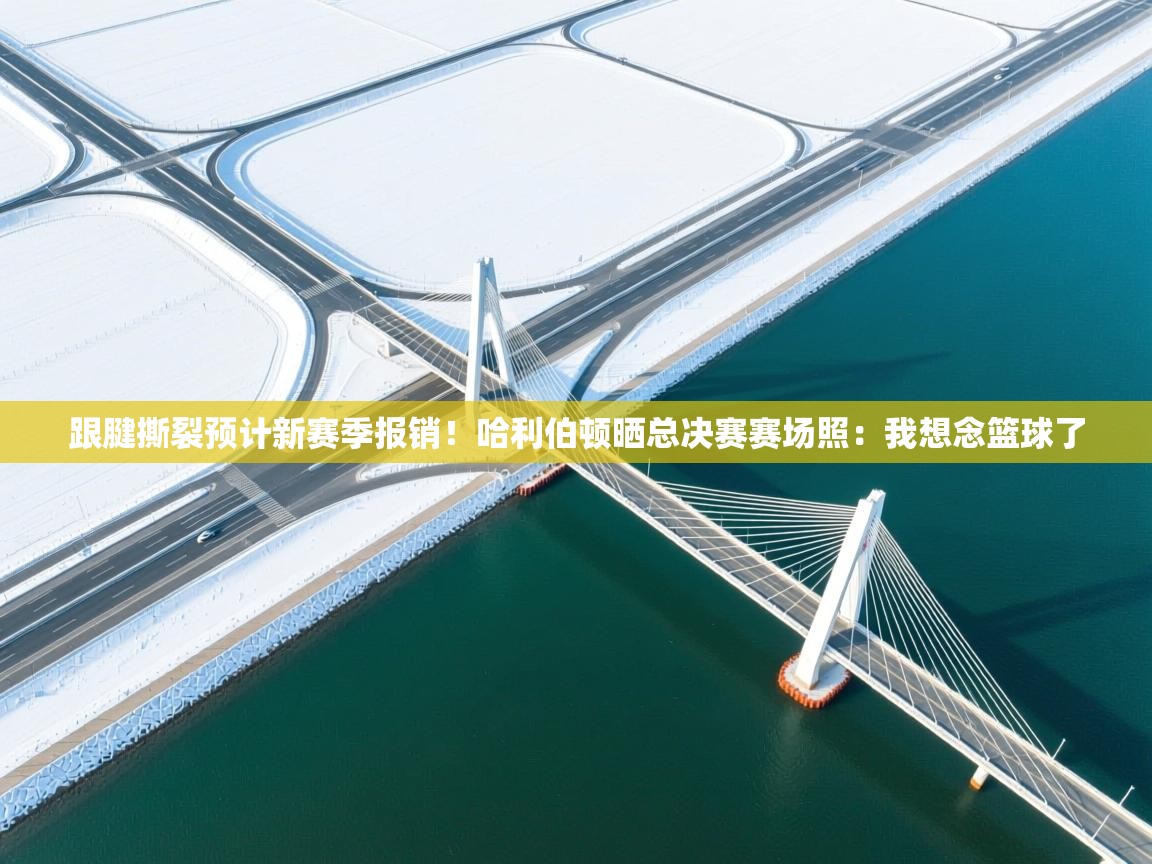 海星体育官方下载-跟腱撕裂预计新赛季报销！哈利伯顿晒总决赛赛场照：我想念篮球了  第4张