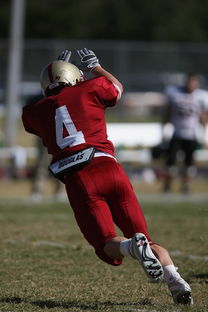 海星体育tv-篮网队助教因涉嫌违规被禁赛 第4张